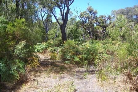 17 Bottlebrush Dr, Walpole, WA 6398