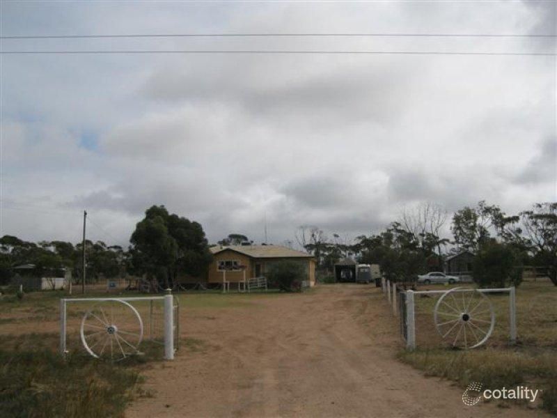 115 Gawler Ranges Rd, Wirrulla, SA 5661