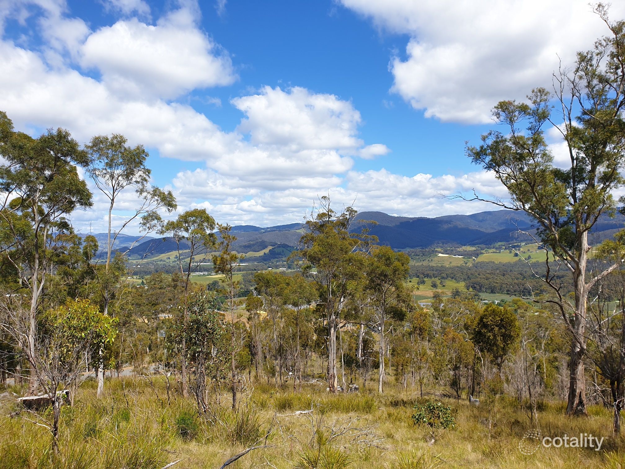 31 Bull Oak Way, Grove, TAS 7109