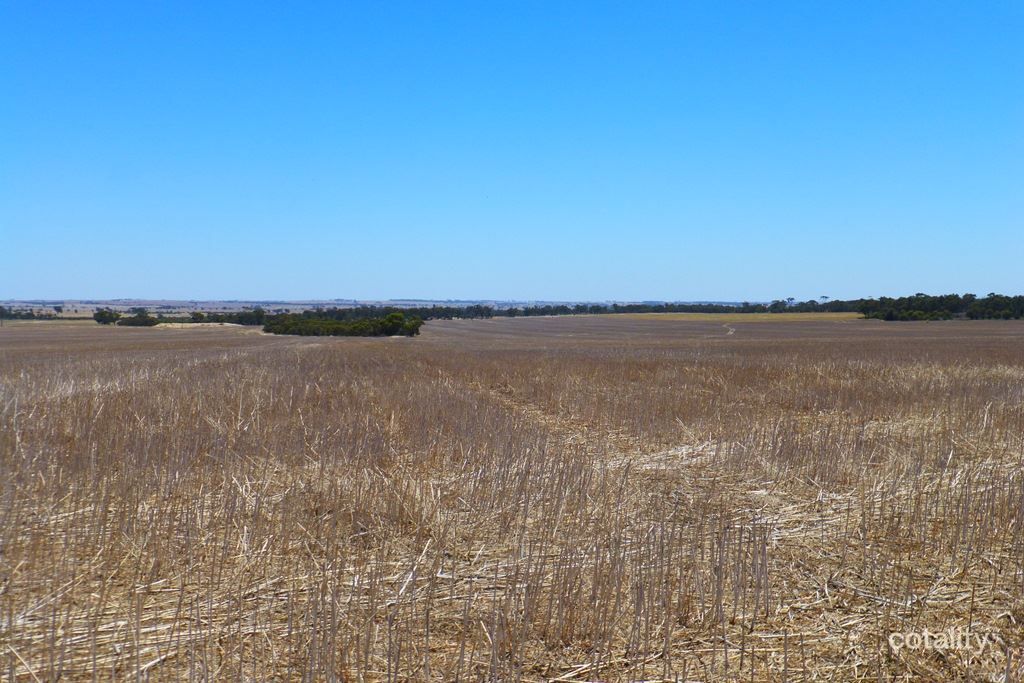 1463 Babakin-Corrigin Rd, Bilbarin, WA 6375