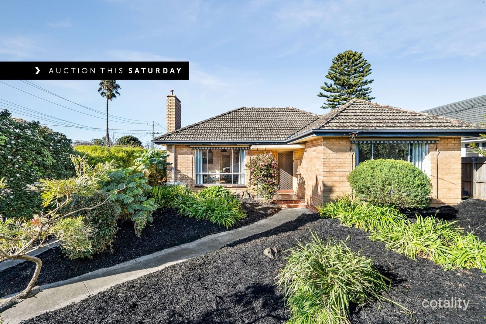 1/34 Grandview Gr, Moorabbin, VIC 3189