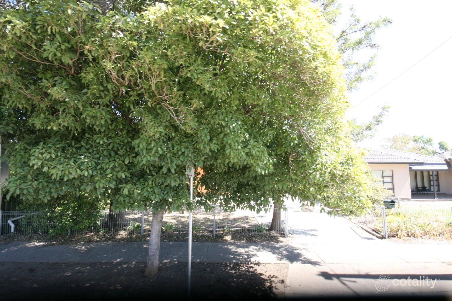 18 Renown Ave, Clovelly Park, SA 5042