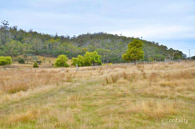 Lot 1 Bresnehans Rd, Little Swanport, TAS 7190