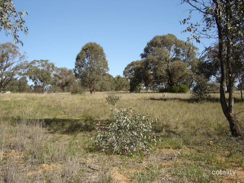 32b Mcgroder St, Molong, NSW 2866