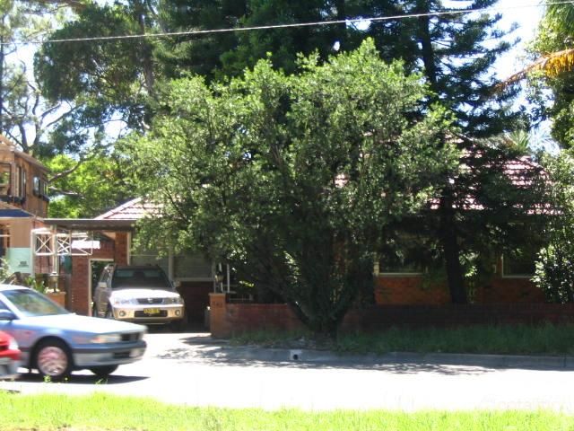 142 Ryde Rd, Pymble, NSW 2073