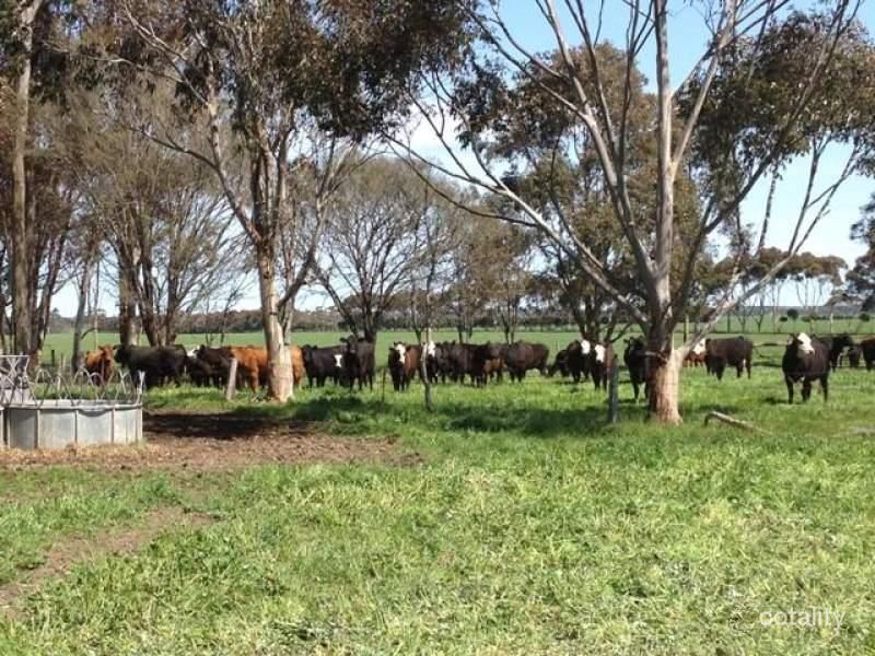 189 Carlons Rd, Vite Vite, VIC 3325