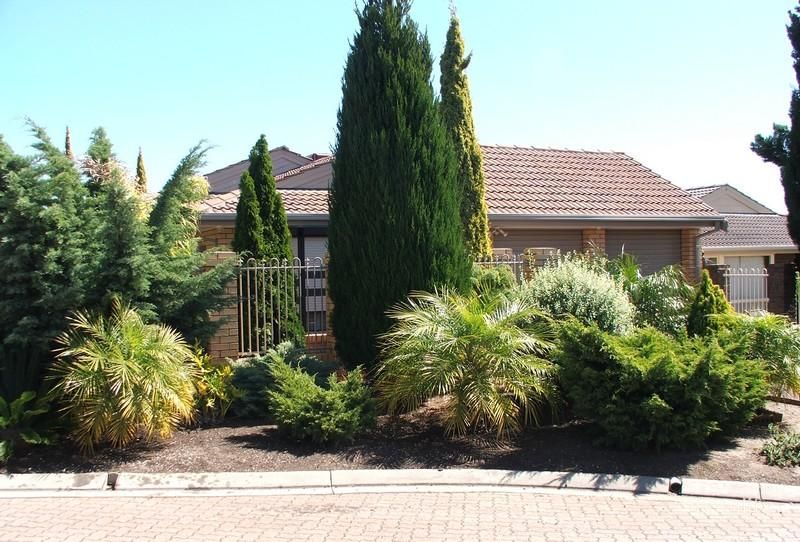 11 Harmer Ct, Wynn Vale, SA 5127