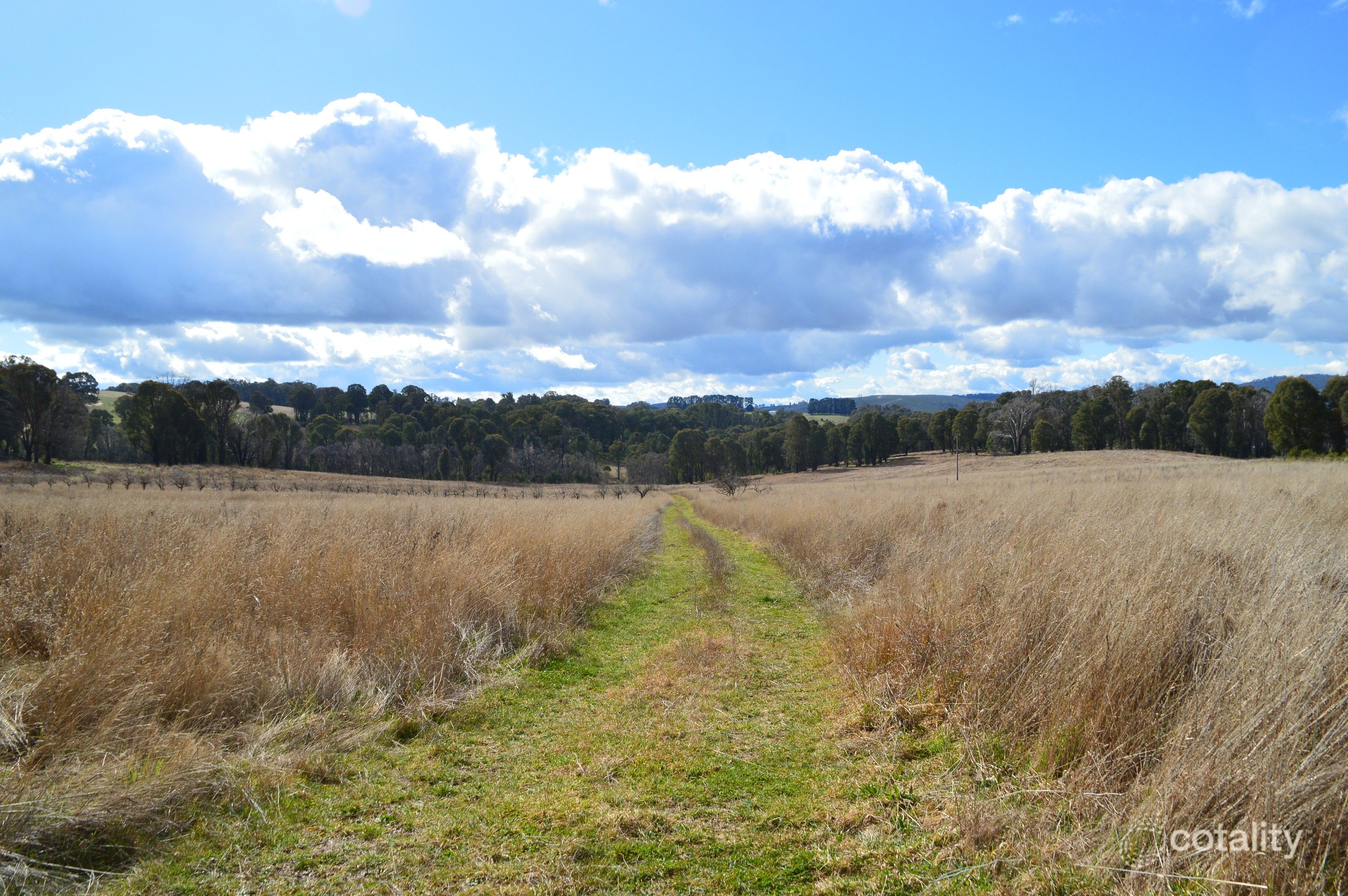 152 Willigobung South Spur Rd, Willigobung, NSW 2653