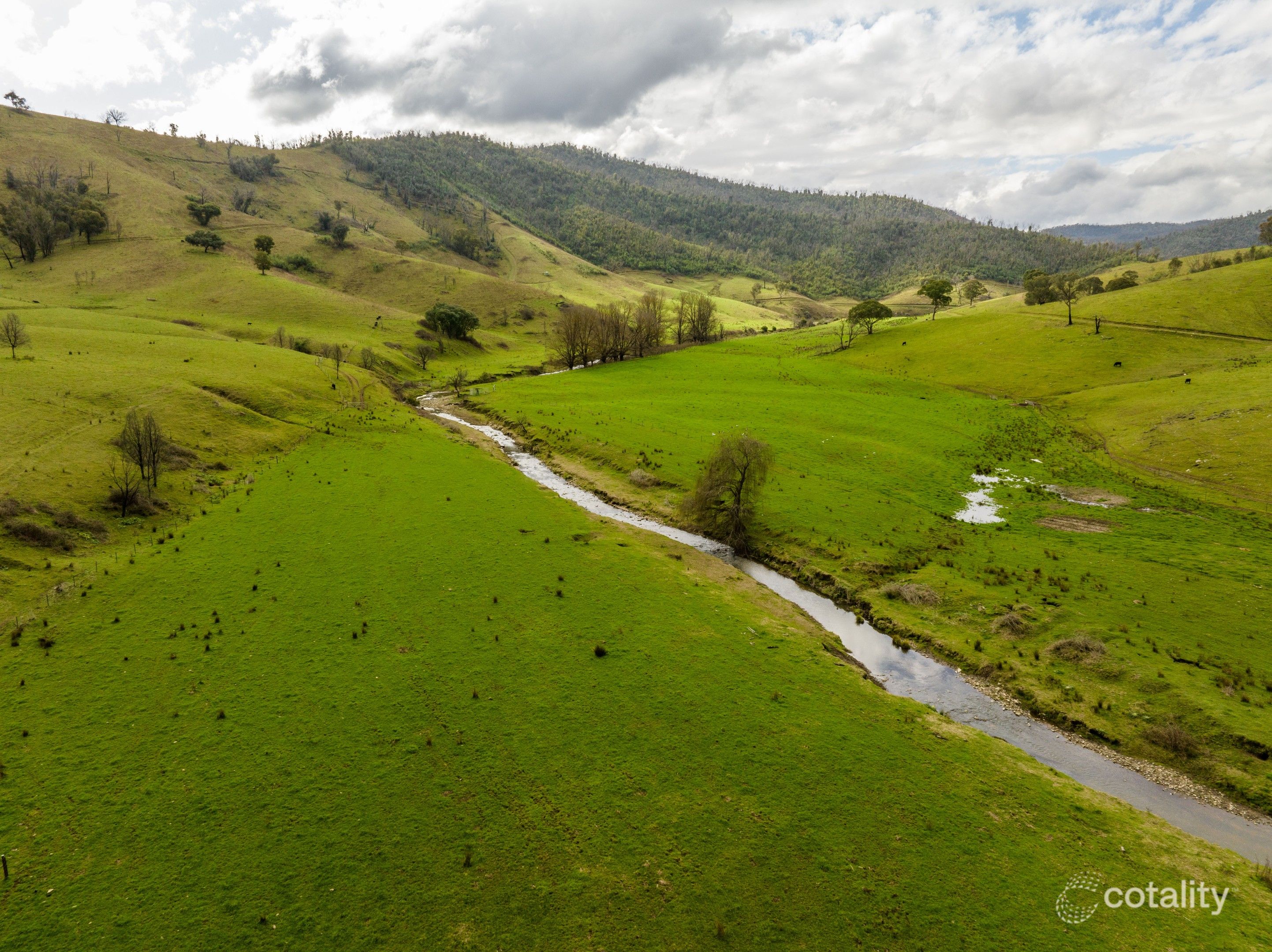 400 Horse Creek Rd, Jingellic, NSW 2642