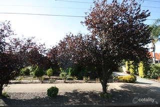 7 Rellum St, Glengowrie, SA 5044