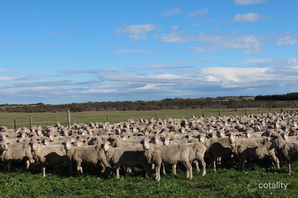 6744 Borden-Bremer Bay Rd, Boxwood Hill, WA 6338