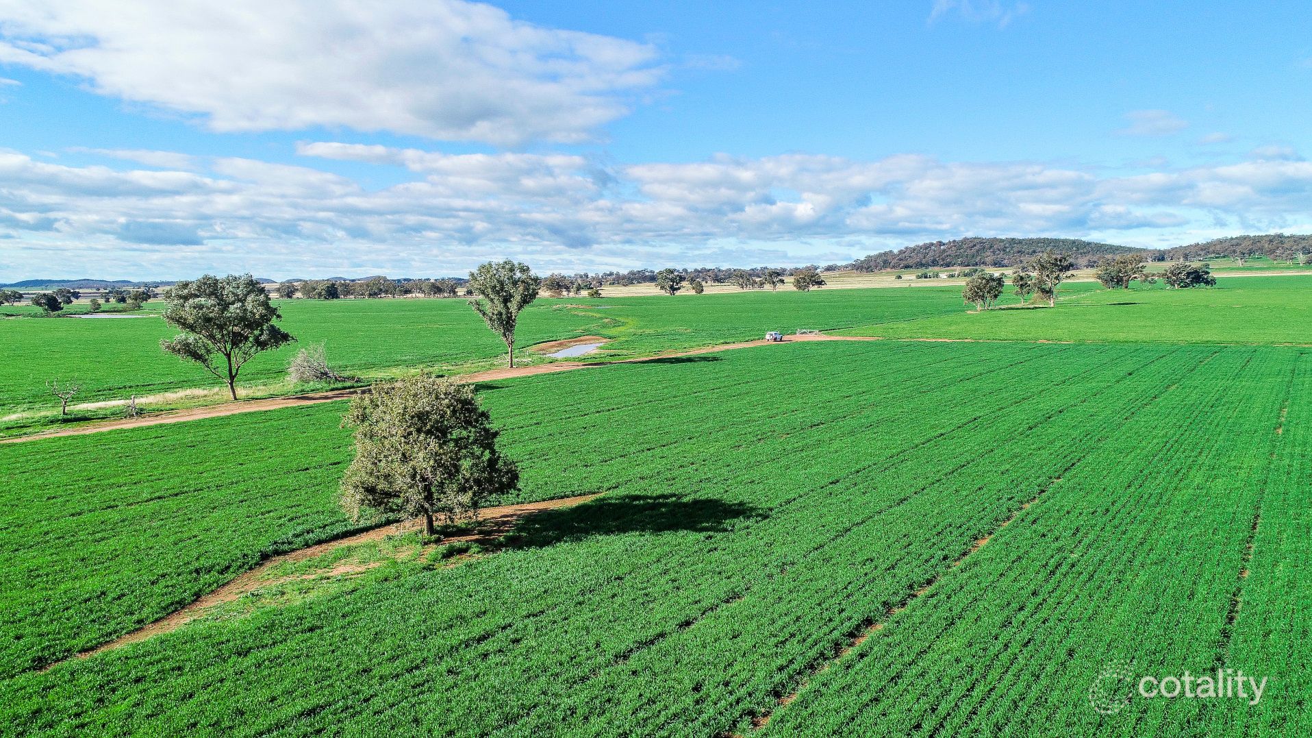 44 Tillings Lane, Curra Creek, NSW 2820