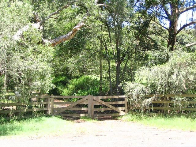 615 The Scenic Road, Macmasters Beach, NSW 2251