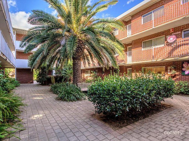 16/10 Prescott Pl, Orelia, WA 6167