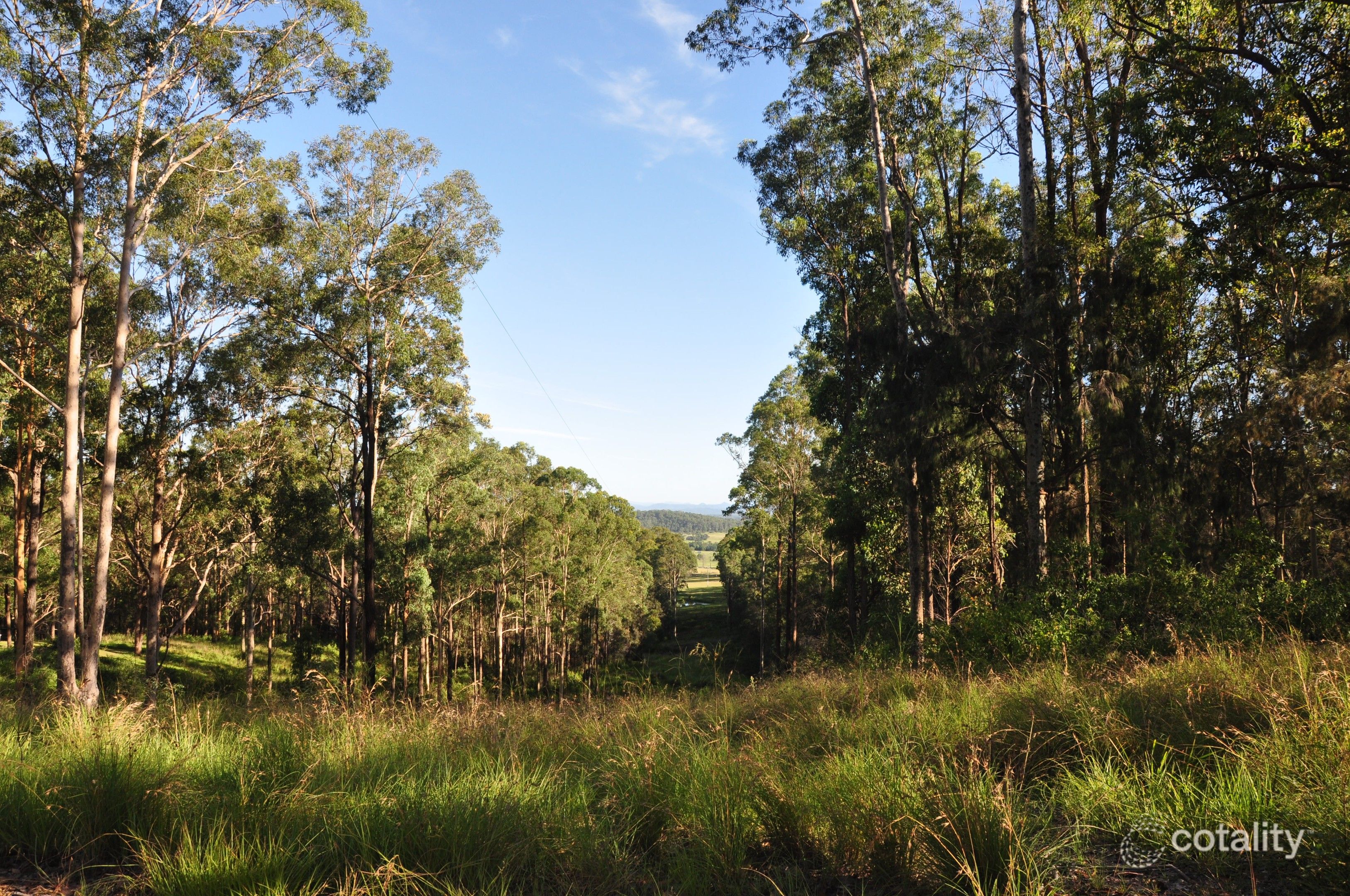 718 Pipers Creek Rd, Dondingalong, NSW 2440