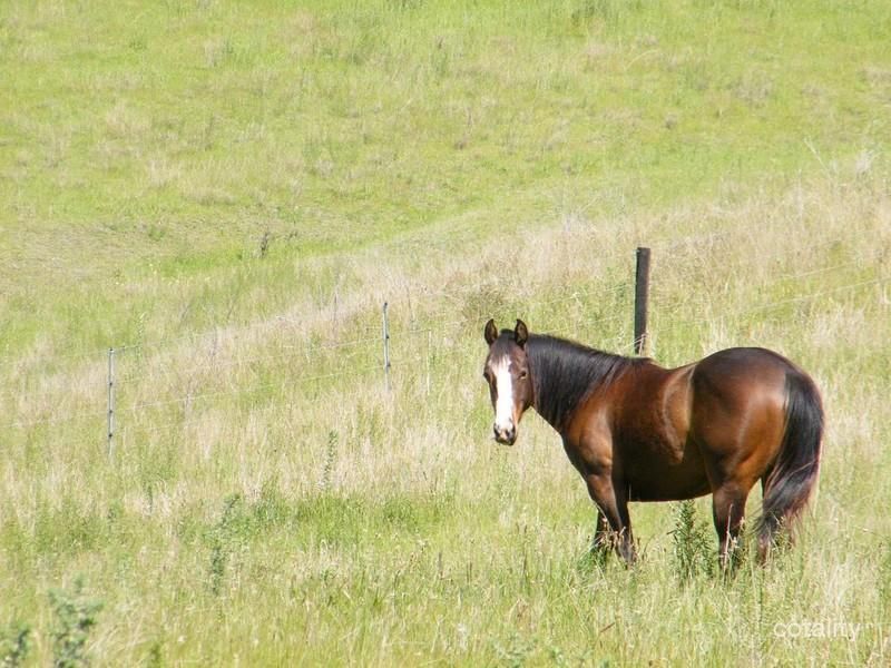 94 Swinging Ridges Rd, Ardglen, NSW 2338