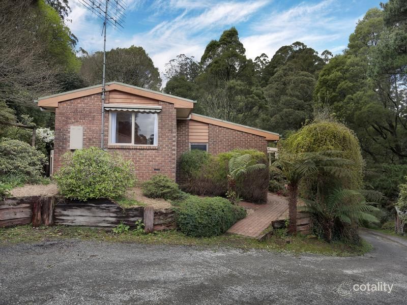 1 Aurora Rise, Sassafras, VIC 3787