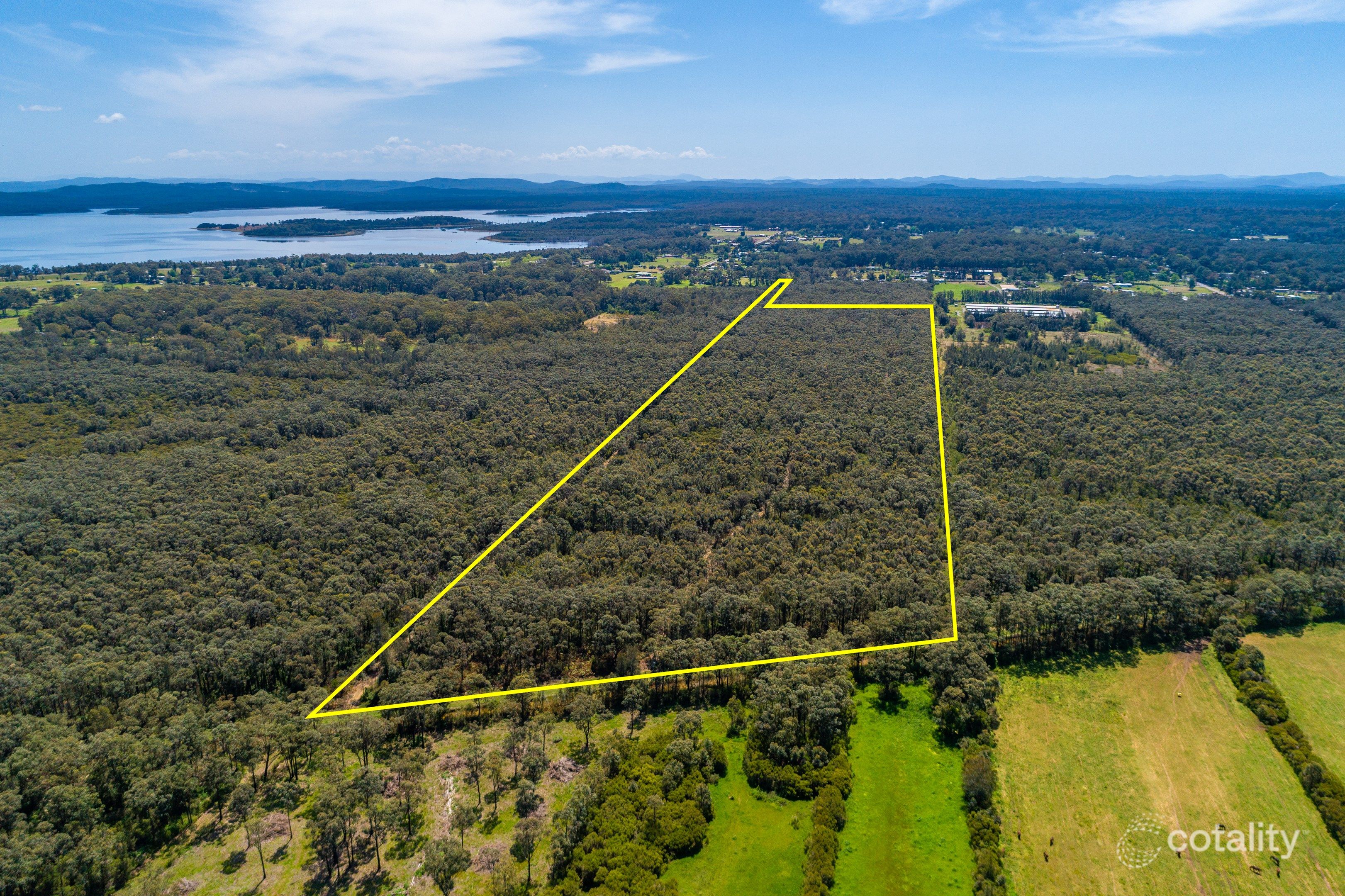 56a Lisadell Rd, Medowie, NSW 2318