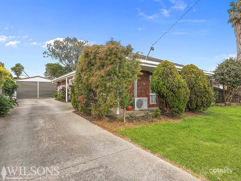 3 Bean Ct, Whittington, VIC 3219