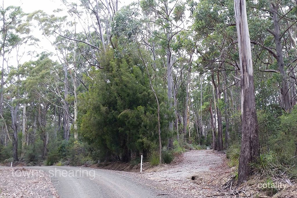 150 Mountain Rd, Lilydale, TAS 7268