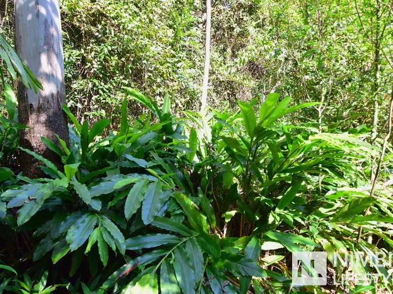 358 Boundary Creek Rd, Bentley, NSW 2480