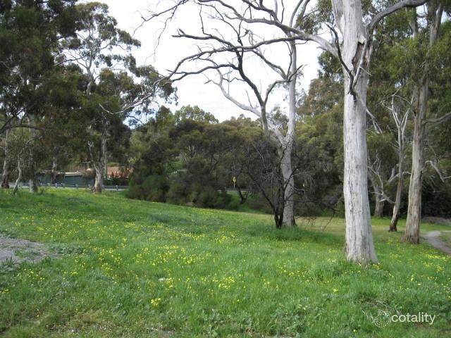 1241 Lower North East Rd, Vista, SA 5091