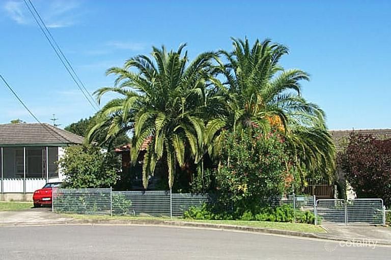 20 Hope St, Regents Park, NSW 2143