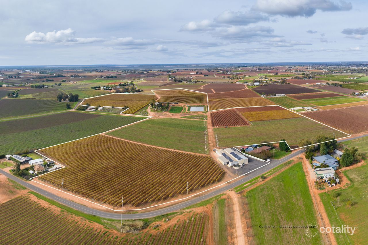 24 Newey Rd, Red Cliffs, VIC 3496