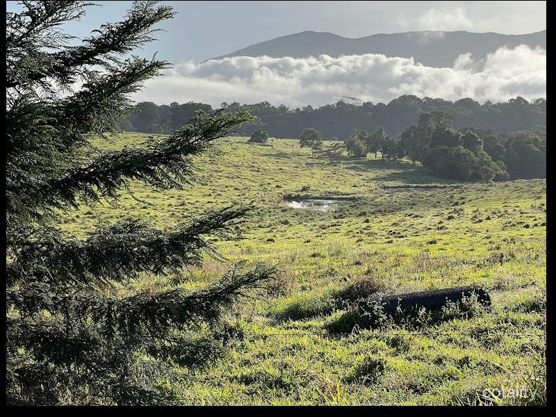69 Wairambar Creek Rd, Topaz, QLD 4885