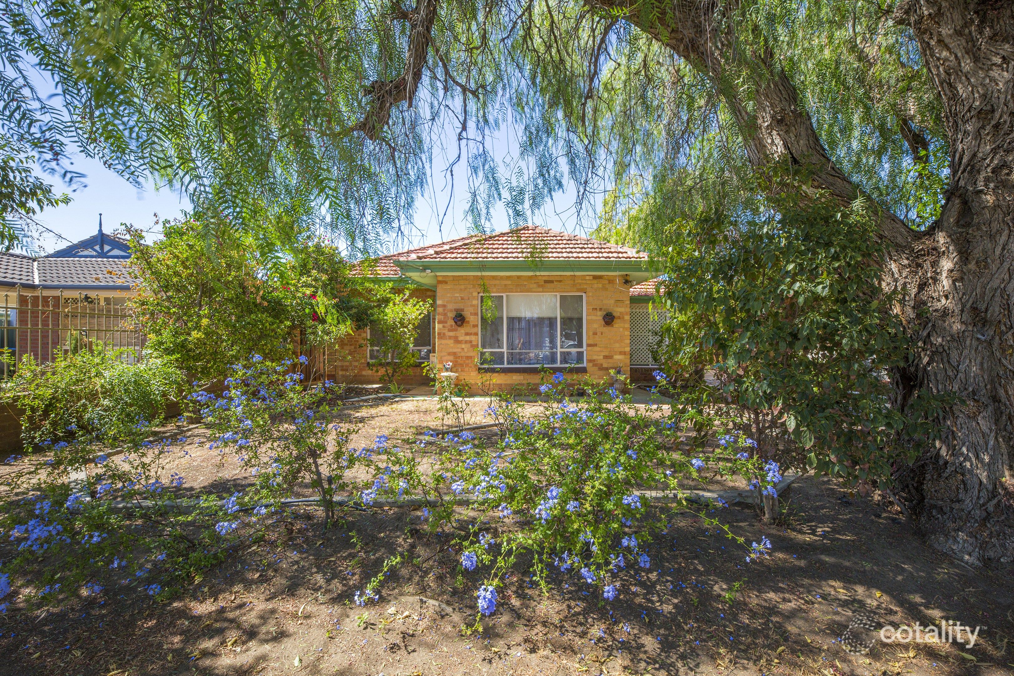 7 Tania Ave, Windsor Gardens, SA 5087
