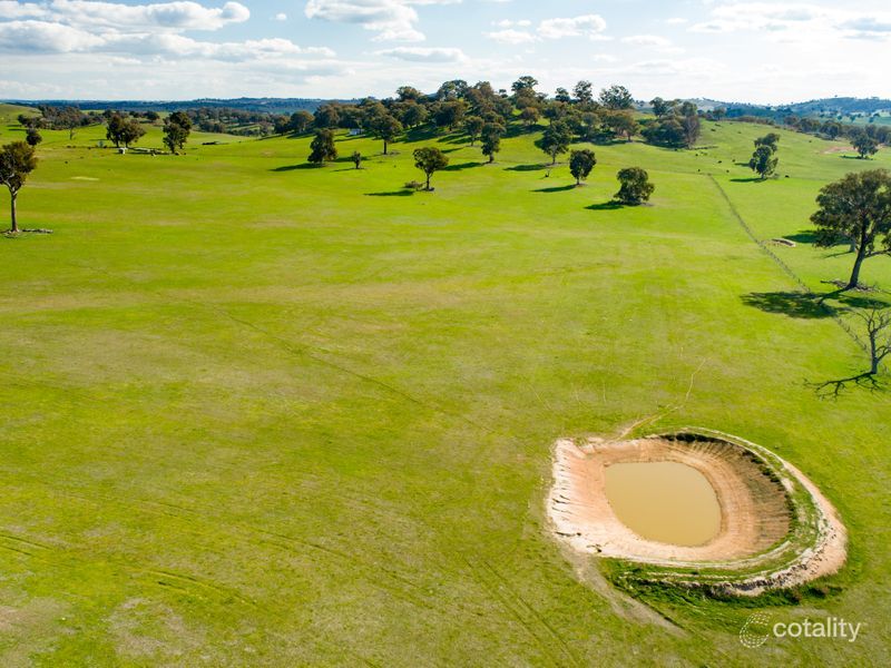 362 Toonga Settlement Rd, Tarcutta, NSW 2652