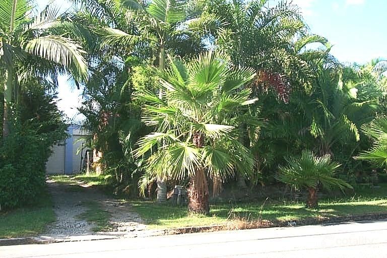 120 Begonia St, Browns Plains, QLD 4118