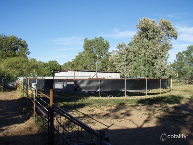 169 Galatea St, Charleville, QLD 4470