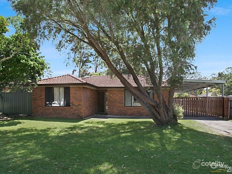 41 Kindlebark Dr, Medowie, NSW 2318