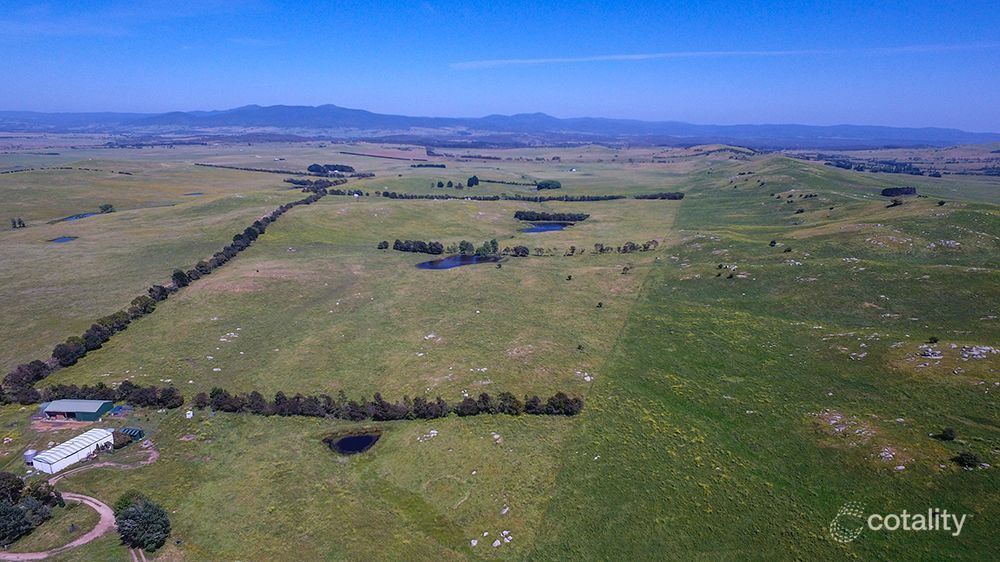180 Majors Creek Rd, Braidwood, NSW 2622