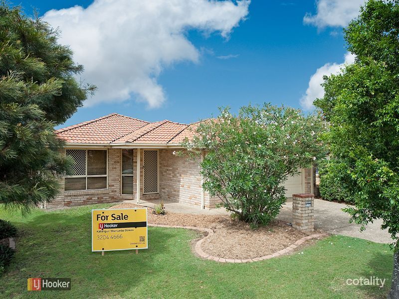 19 Mowbray Ct, Kallangur, QLD 4503