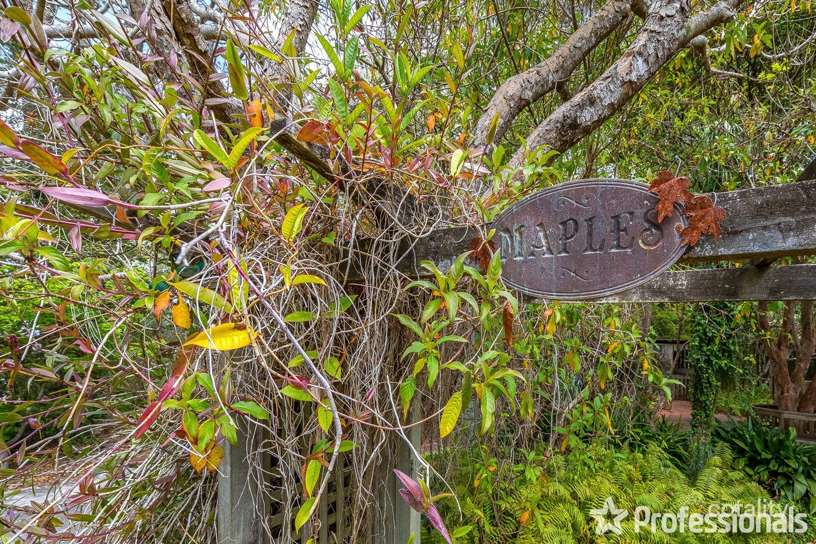 9 Capo Lane, Tamborine Mountain, QLD 4272