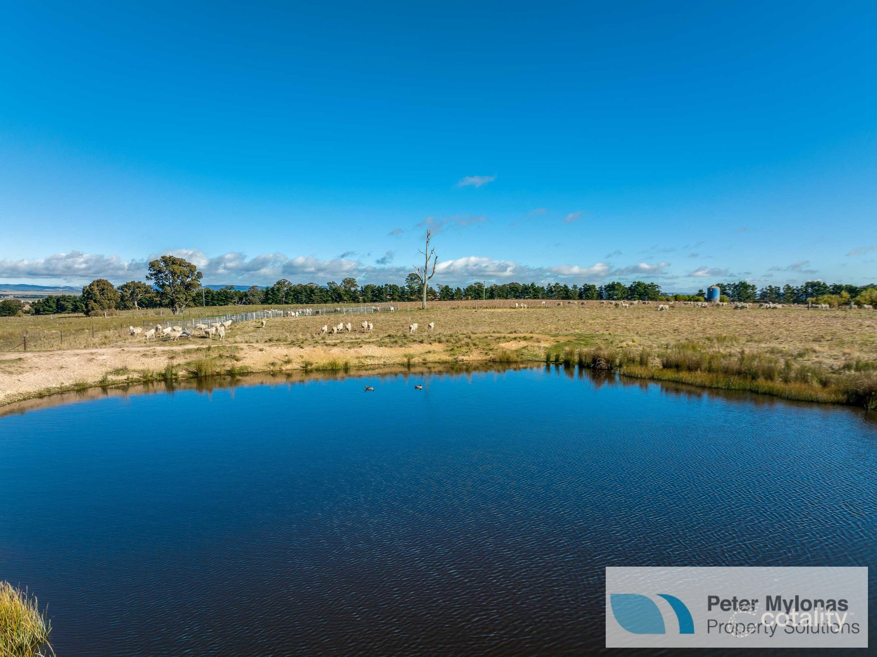 99 Shaws Creek Rd, Gundary, NSW 2580