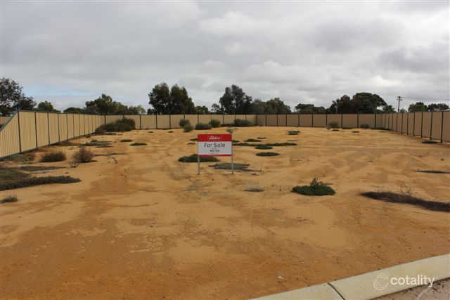 13 Carrington Way, Merredin, WA 6415