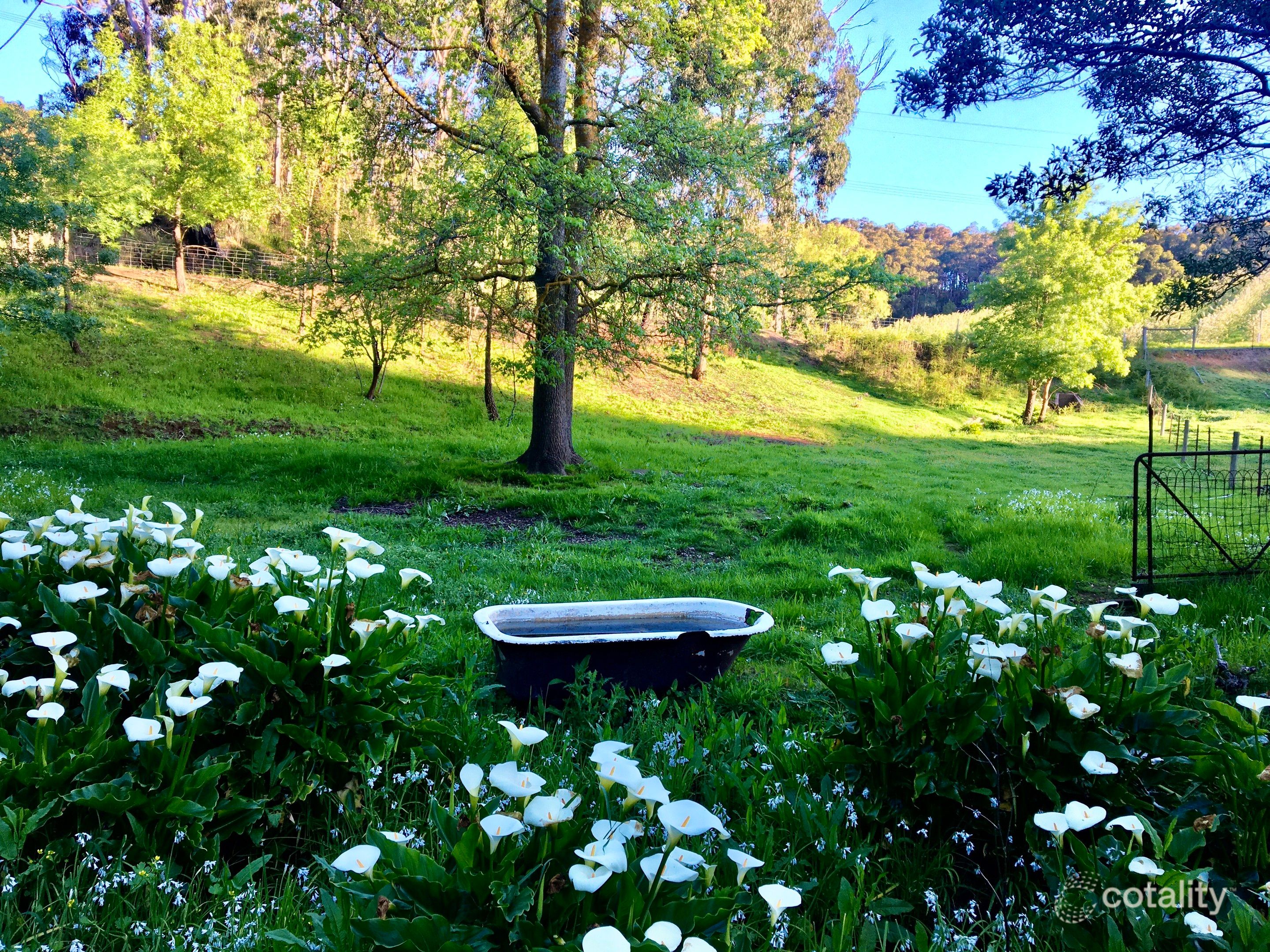 1195a Lobethal Rd, Forest Range, SA 5139