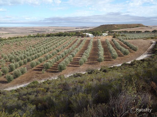 218 Bunter Way, Howatharra, WA 6532