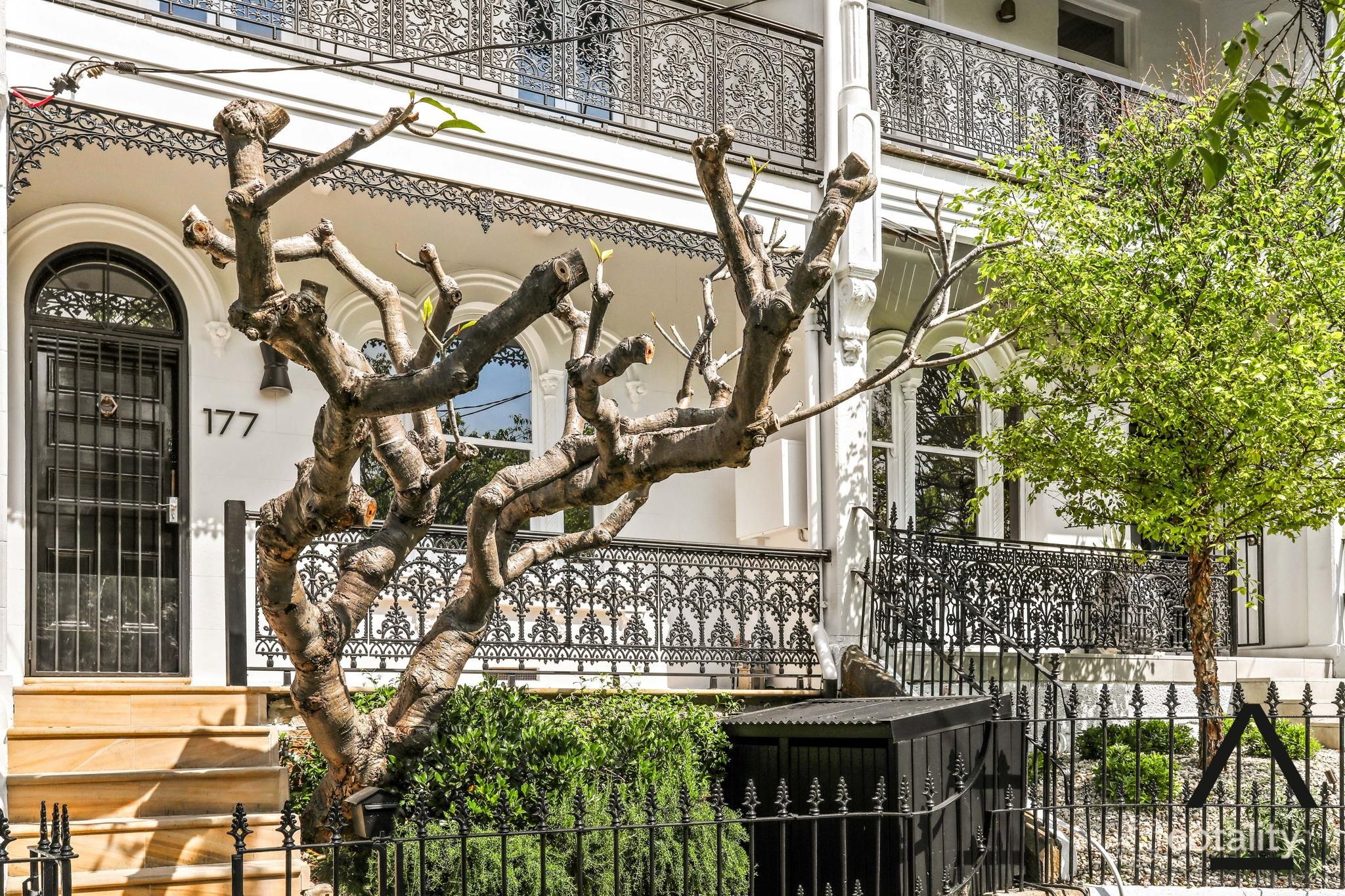 177 Glenmore Rd, Paddington, NSW 2021