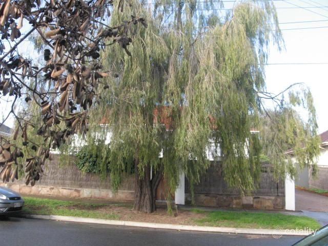 2/11 Thomas St, Seacliff Park, SA 5049