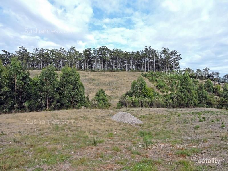 6 Mangana Dr, Tugrah, TAS 7310