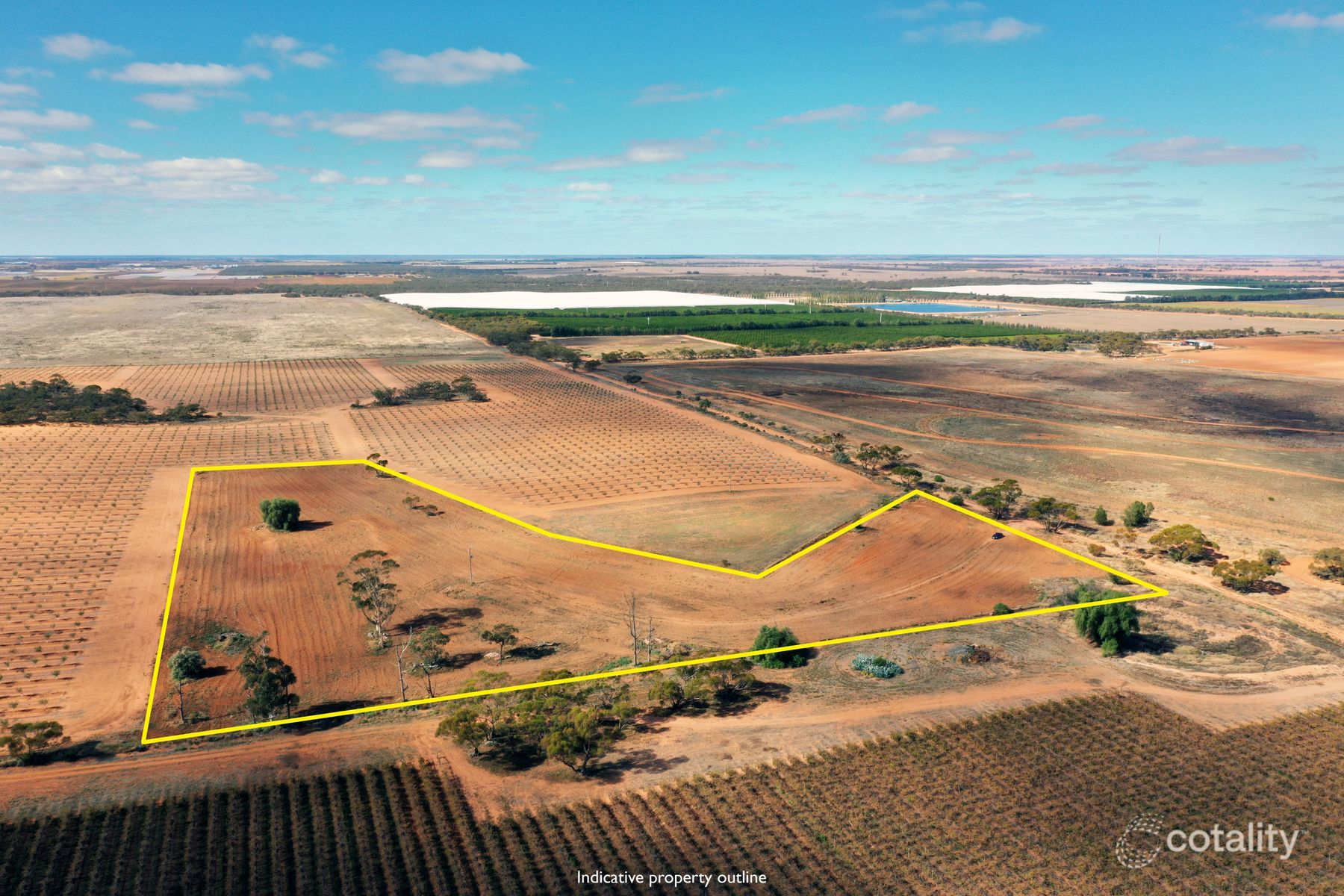 164 Thurlow Lane, Red Cliffs, VIC 3496