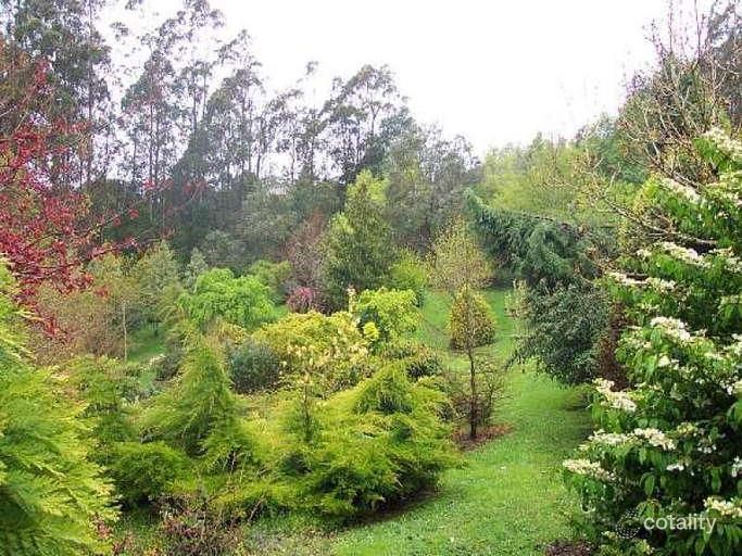 1656 Bulga Park Rd, Balook, VIC 3971