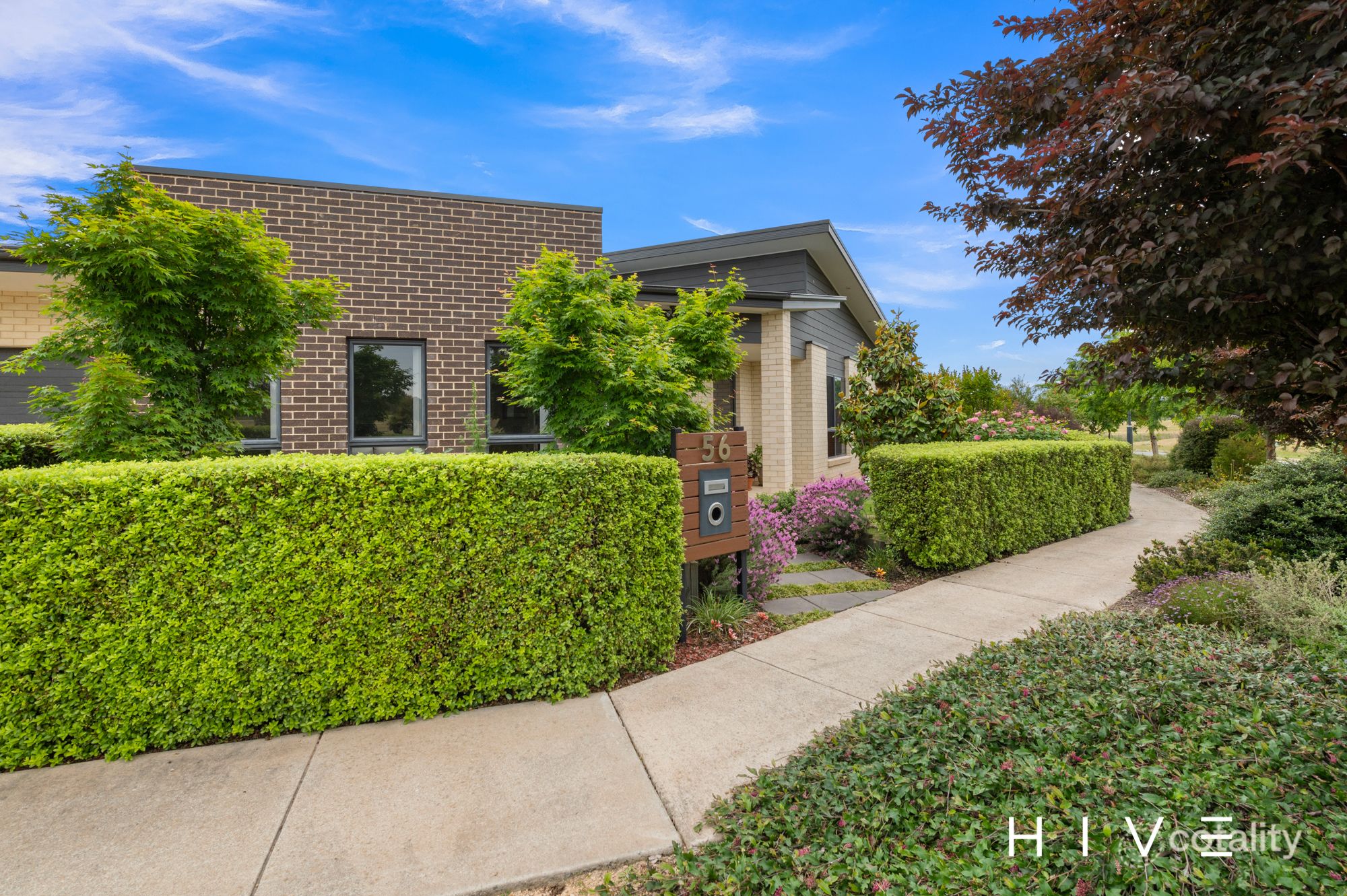 56 Blizzard Cct, Forde, ACT 2914