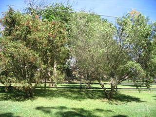 45 Ingleside Rd, Ingleside, NSW 2101