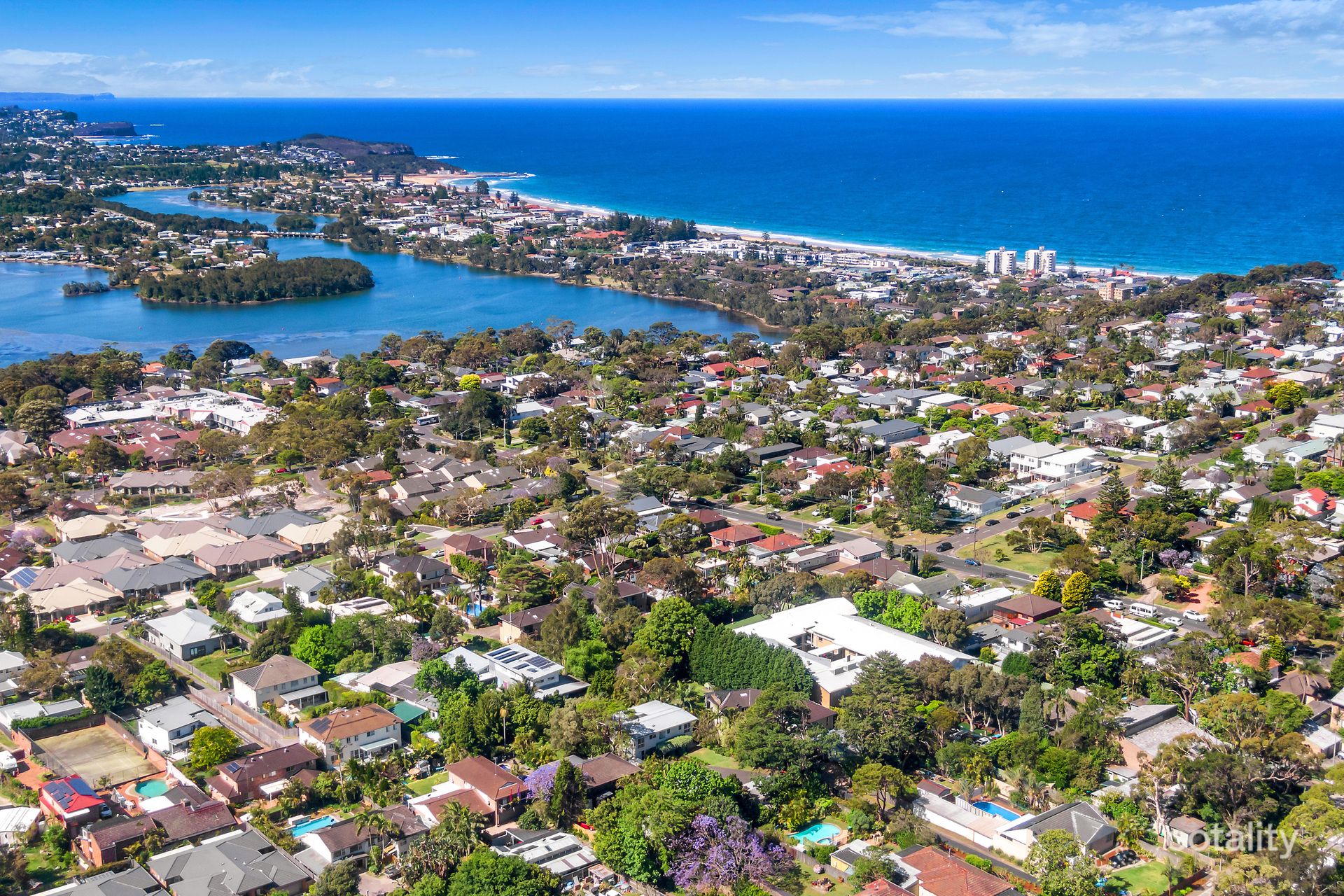 16 Rose Ave, Wheeler Heights, NSW 2097