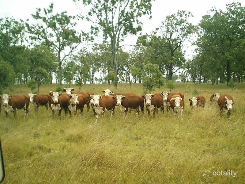 573 Wiemers Rd, Southbrook, QLD 4363